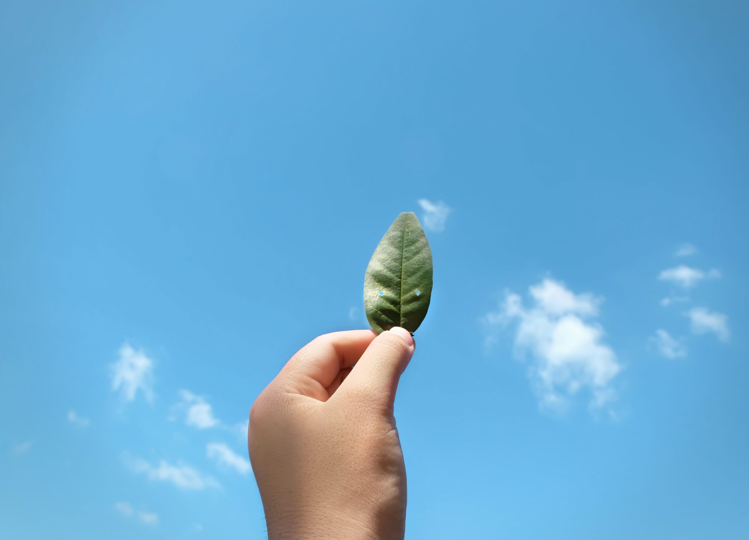 Ao eliminar o uso excessivo de papel, reduzir deslocamentos e digitalizar fluxos com segurança jurídica, o certificado digital gera impactos positivos no meio ambiente